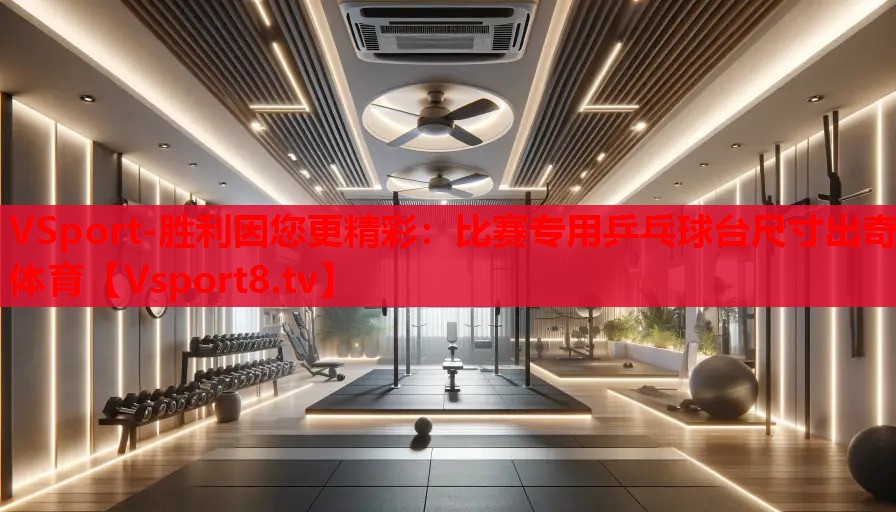VSport-胜利因您更精彩：比赛专用乒乓球台尺寸出奇体育