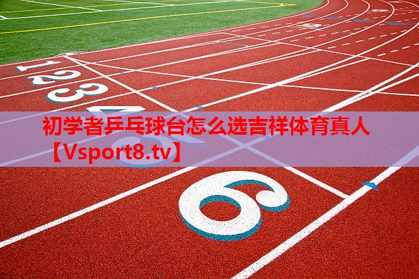 初学者乒乓球台怎么选吉祥体育真人