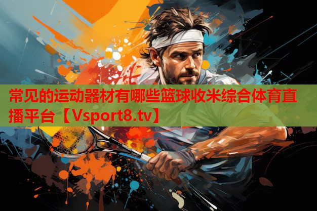 常见的运动器材有哪些篮球收米综合体育直播平台