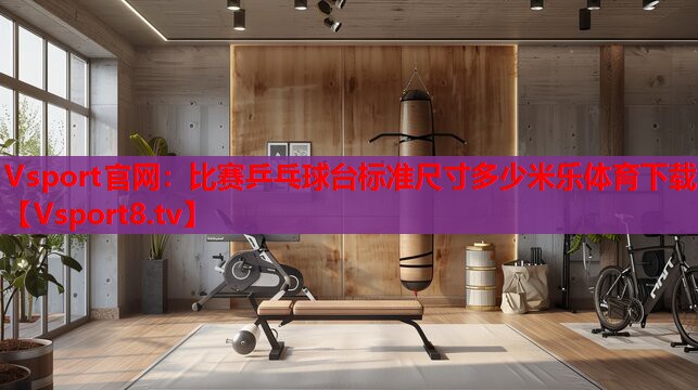 Vsport官网：比赛乒乓球台标准尺寸多少米乐体育下载