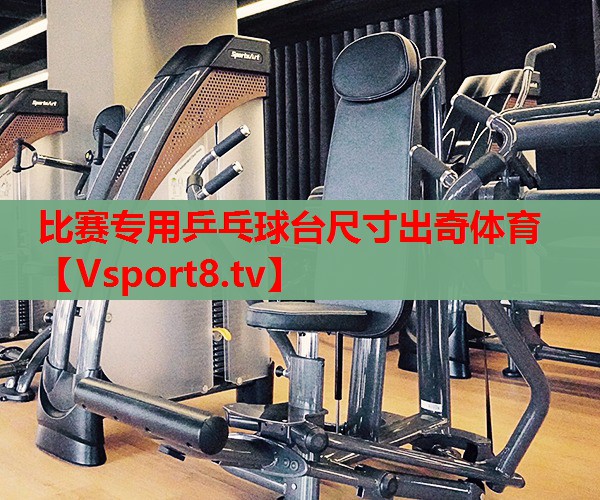 比赛专用乒乓球台尺寸出奇体育