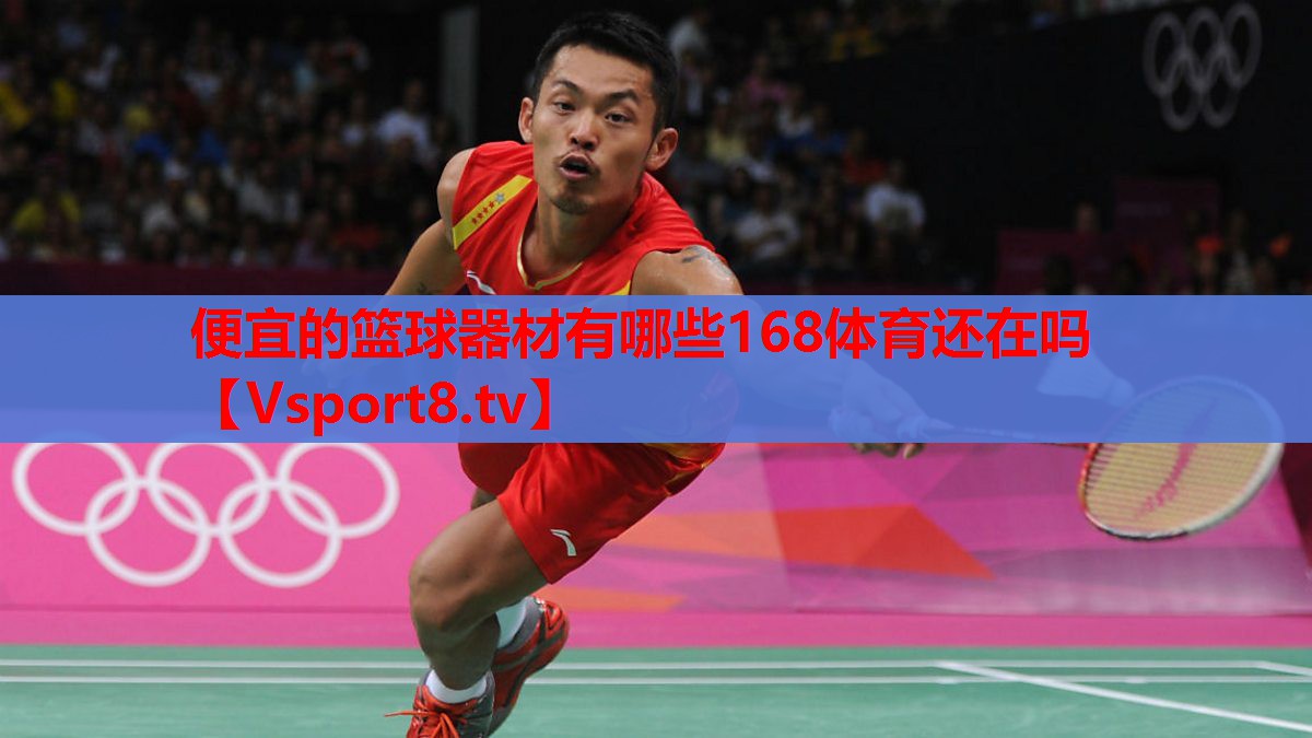 便宜的篮球器材有哪些168体育还在吗