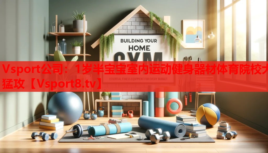 Vsport公司：1岁半宝宝室内运动健身器材体育院校大猛攻