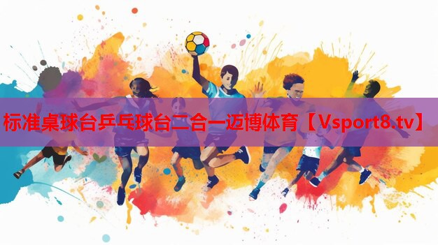 标准桌球台乒乓球台二合一迈博体育