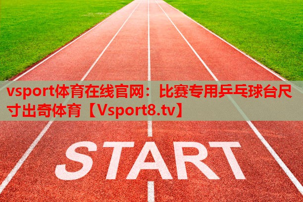 vsport体育在线官网：比赛专用乒乓球台尺寸出奇体育