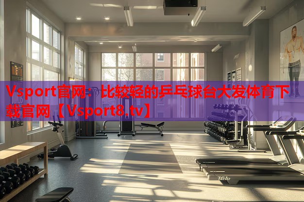 Vsport官网：比较轻的乒乓球台大发体育下载官网
