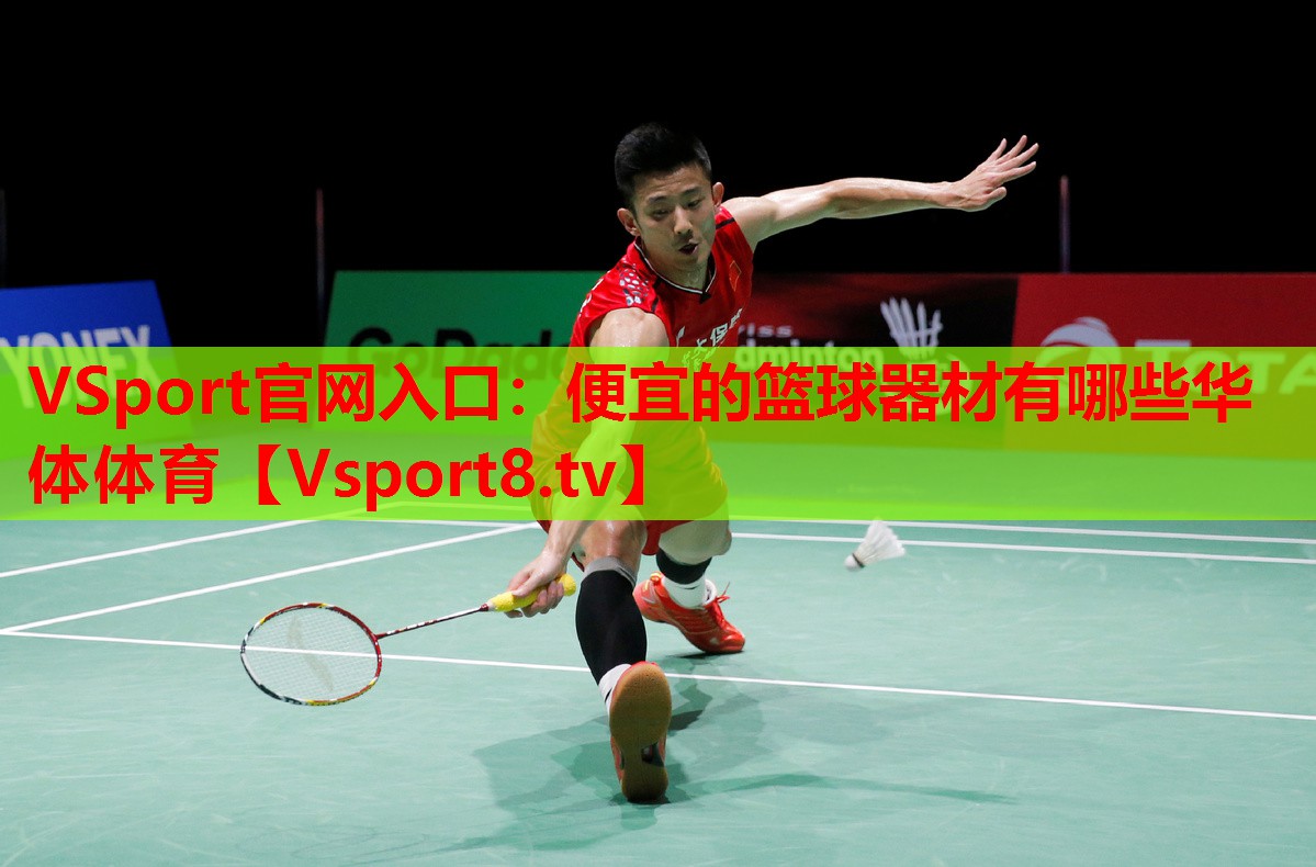 VSport官网入口：便宜的篮球器材有哪些华体体育