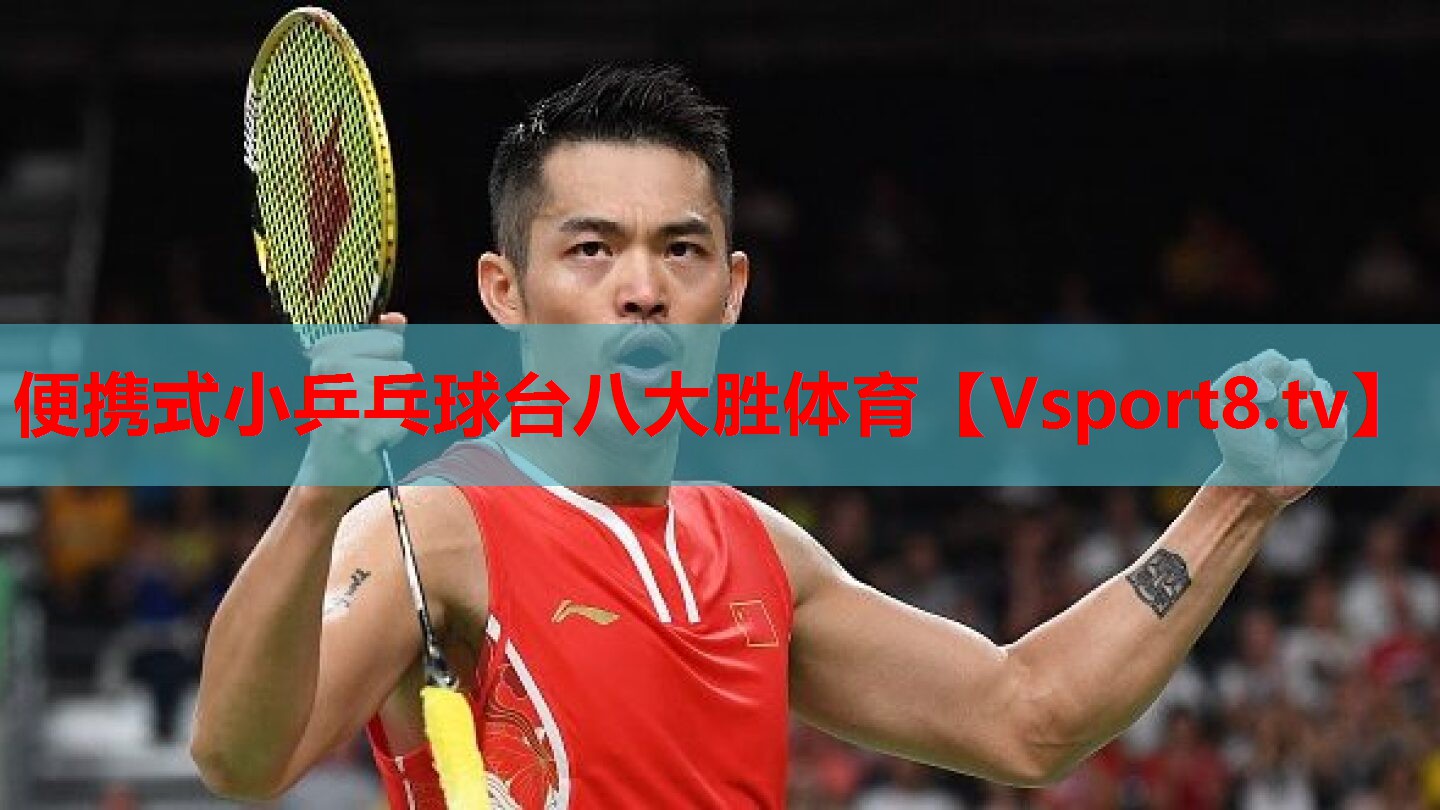 便携式小乒乓球台八大胜体育