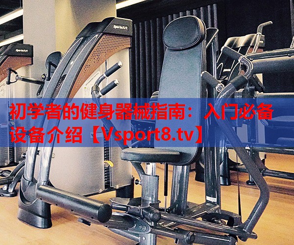 初学者的健身器械指南：入门必备设备介绍