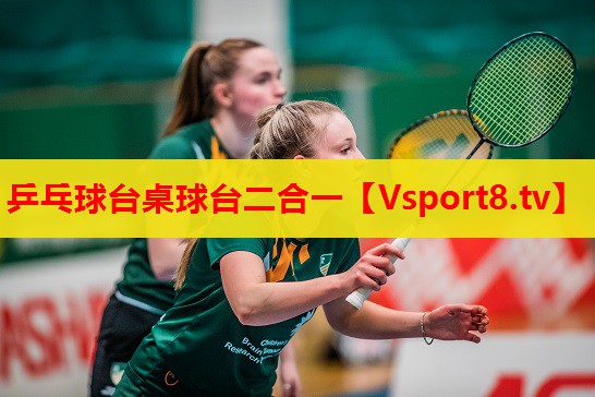 乒乓球台桌球台二合一