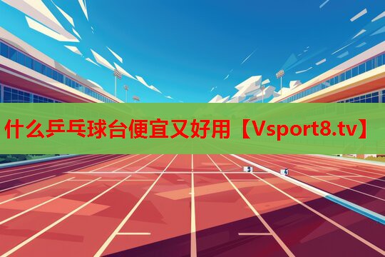 什么乒乓球台便宜又好用