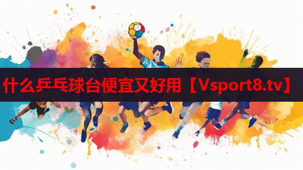 什么乒乓球台便宜又好用