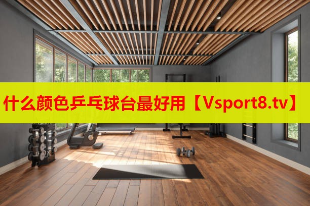 什么颜色乒乓球台最好用